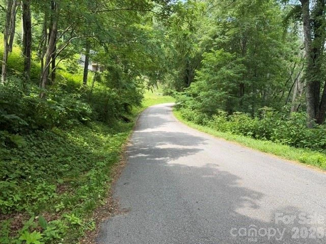 Lot 33 Toi Trail #33 - Photo 3
