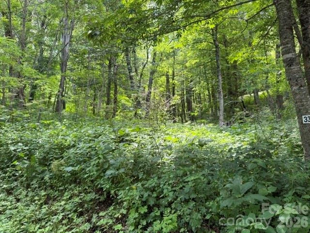 Lot 33 Toi Trail #33 - Photo 4