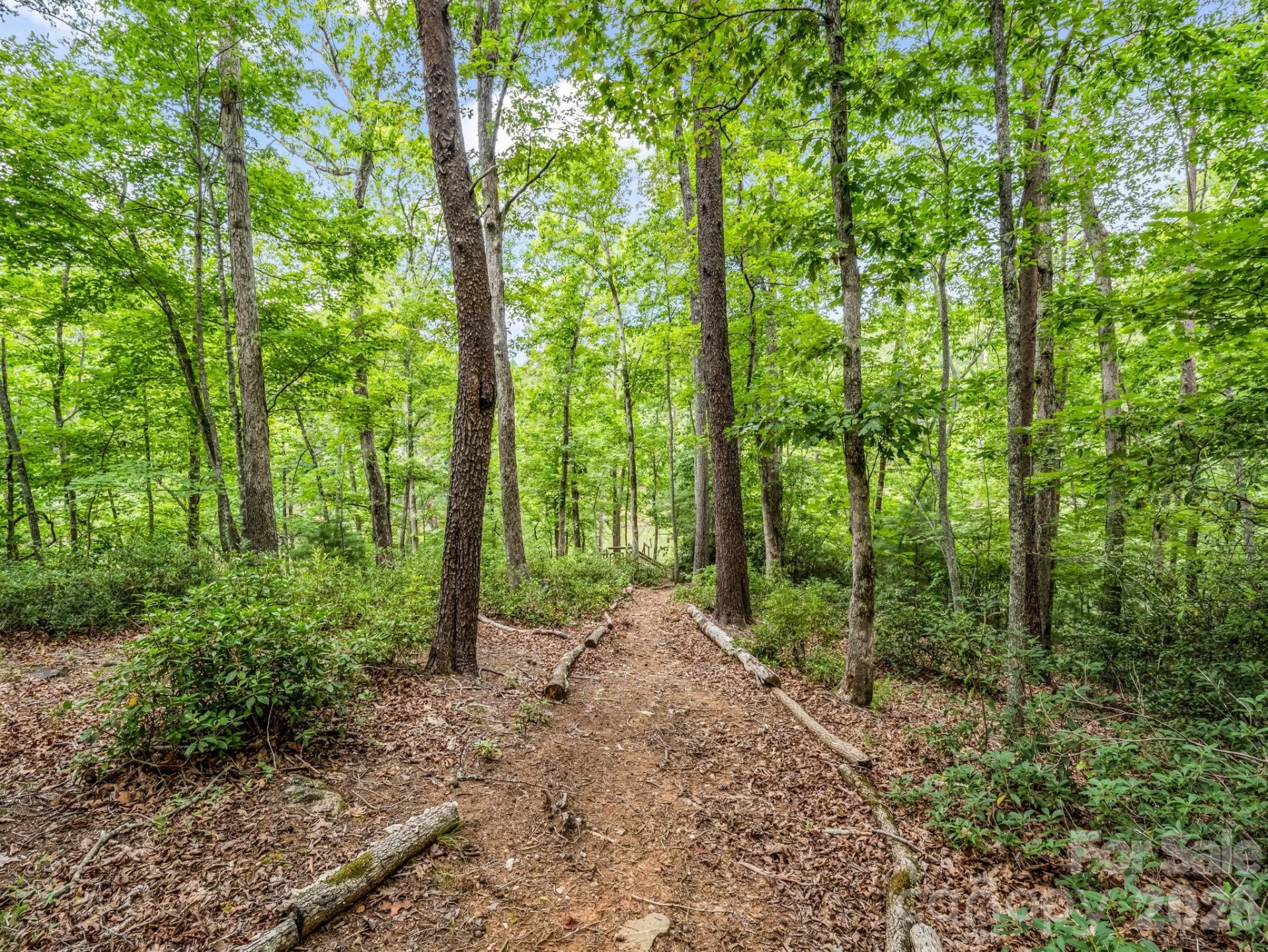 617 South Cove Road - Photo 41