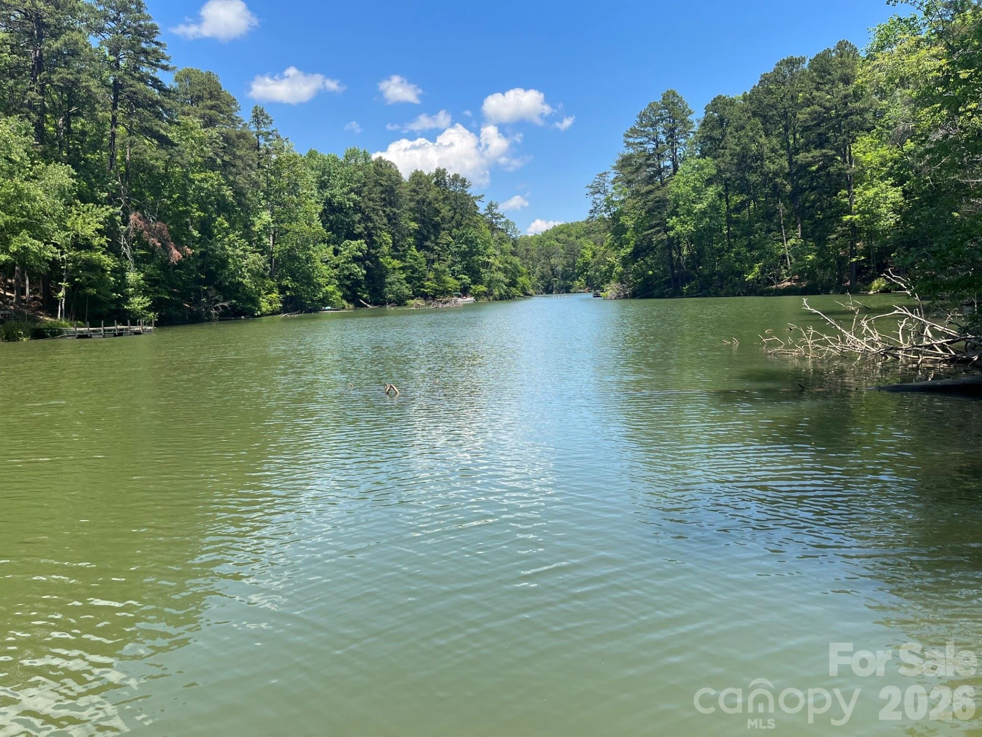 617 South Cove Road - Photo 43