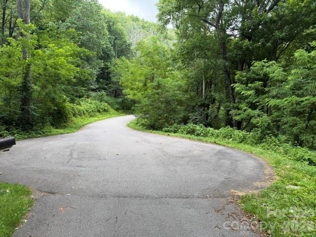 Lot 28 Toi Trail #28 - Photo 2