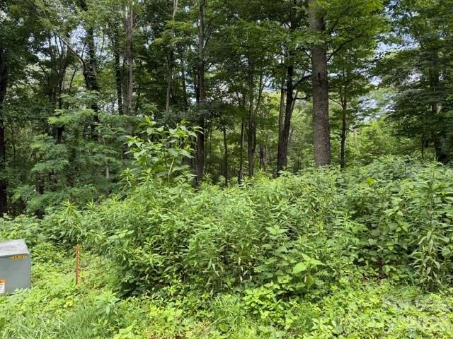 Lot 28 Toi Trail #28 - Photo 3