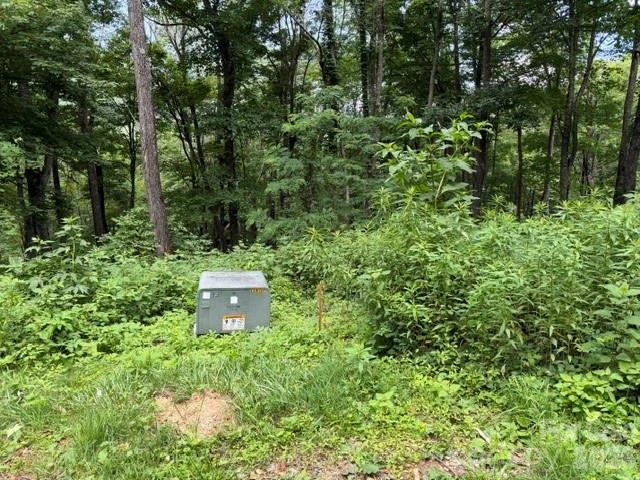 Lot 28 Toi Trail #28 - Photo 4