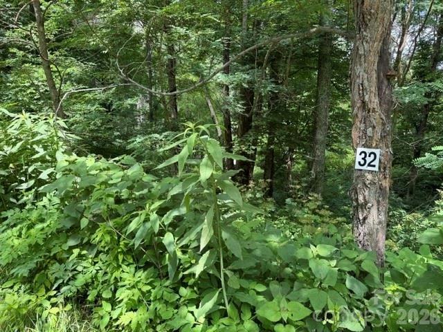 Lot 32 Toi Trail #32