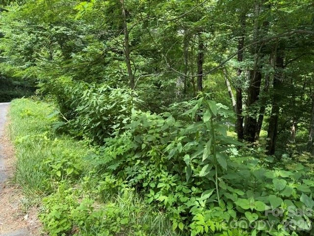 Lot 32 Toi Trail #32 - Photo 2