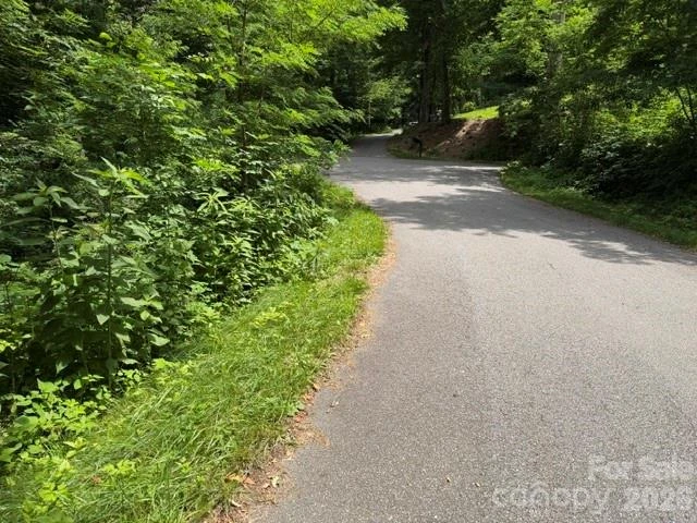 Lot 32 Toi Trail #32 - Photo 3