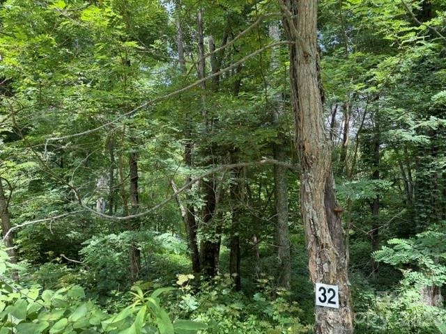 Lot 32 Toi Trail #32 - Photo 4