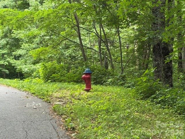 Lot 35 Odalu Trail #35 - Photo 2