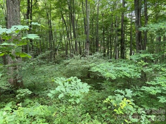 Lot 35 Odalu Trail #35 - Photo 3