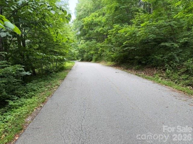 Lot 35 Odalu Trail #35 - Photo 4