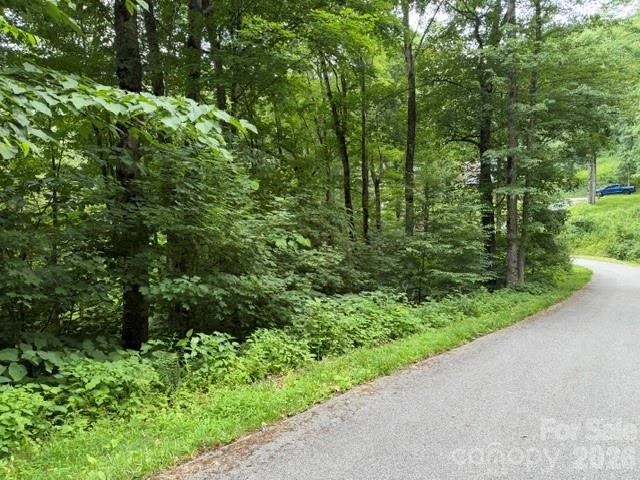 Lot 43 Gata Trail #43 - Photo 5