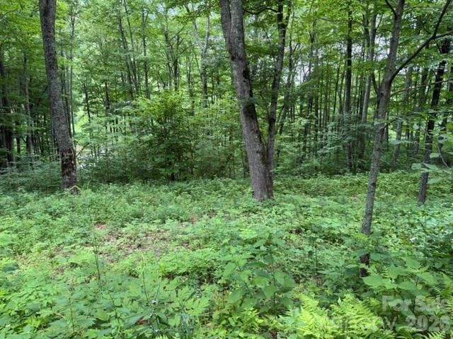 Lot 36 Odalu Trail #36 - Photo 2