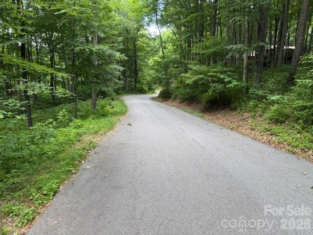 Lot 36 Odalu Trail #36 - Photo 3