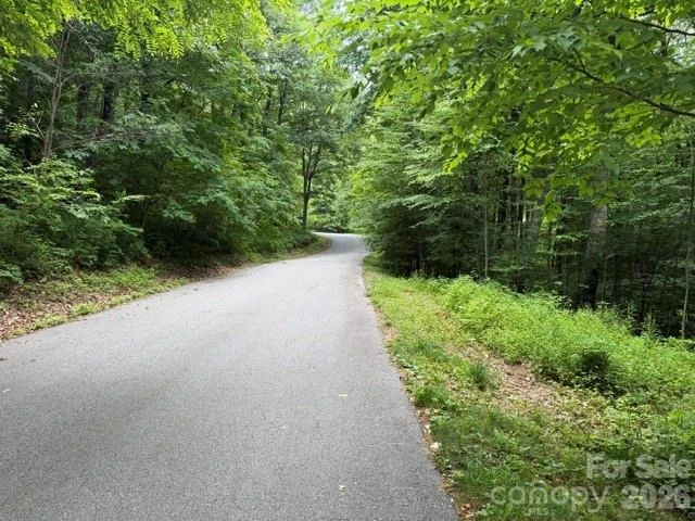 Lot 36 Odalu Trail #36 - Photo 4