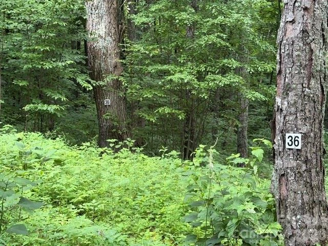 Lot 36 Odalu Trail #36 - Photo 5