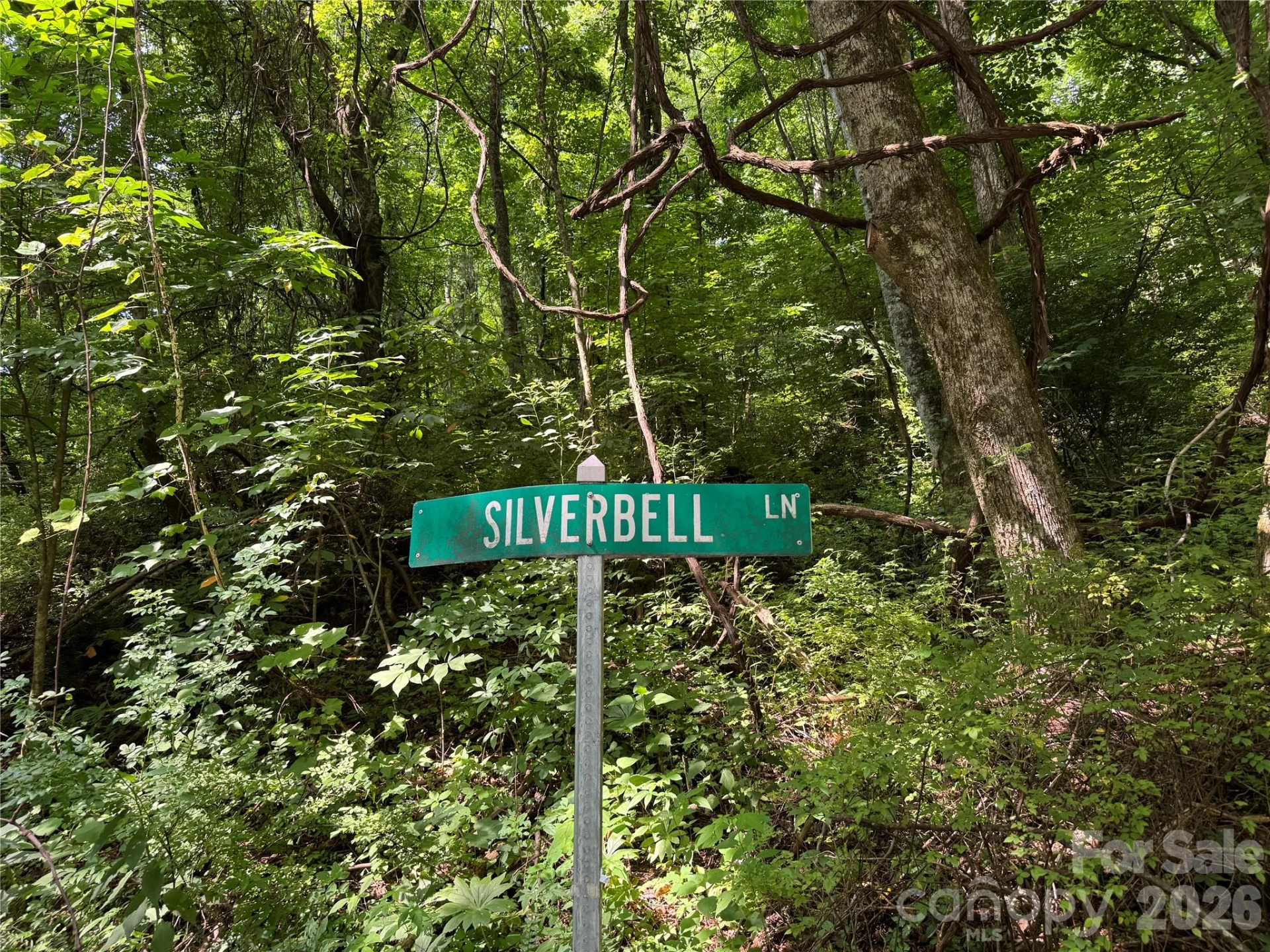 LT 18 Silverbell Lane #18 - Photo 19