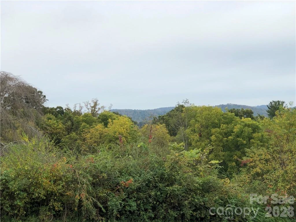 836 Burney Mountain Road - Photo 2