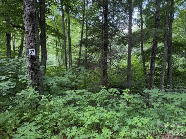 Lot 37 Odalu Trail