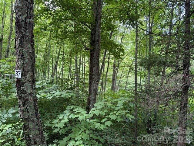 Lot 37 Odalu Trail #37 - Photo 2