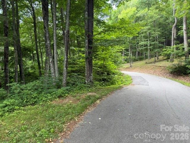 Lot 37 Odalu Trail #37 - Photo 3