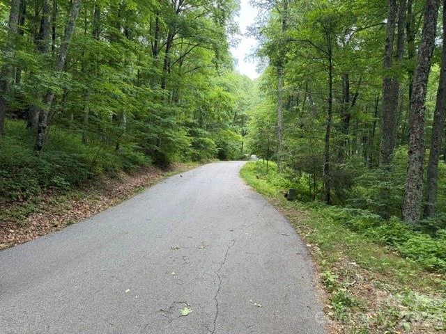 Lot 37 Odalu Trail #37 - Photo 4