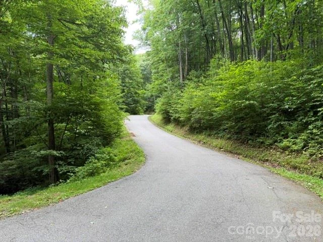 Lot 38 Yanasa Trail #38 - Photo 2