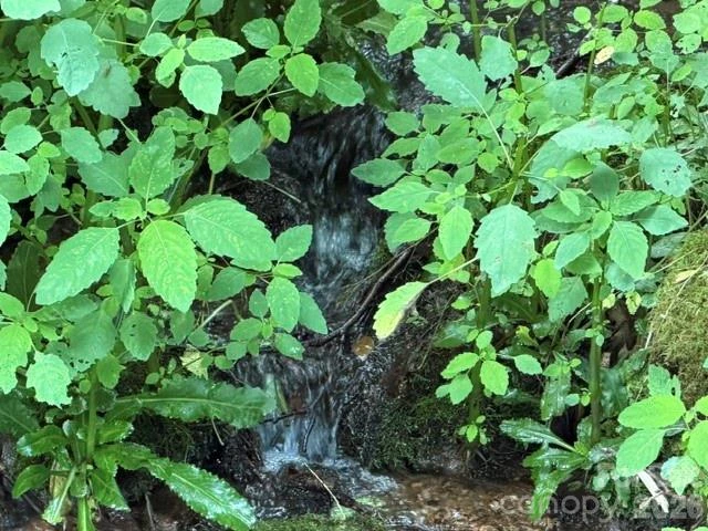 Lot 38 Yanasa Trail #38 - Photo 3