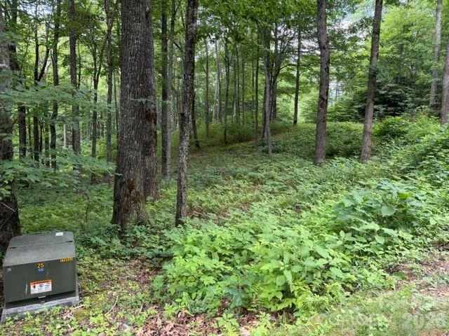 Lot 59 Odalu Trail #59 - Photo 2