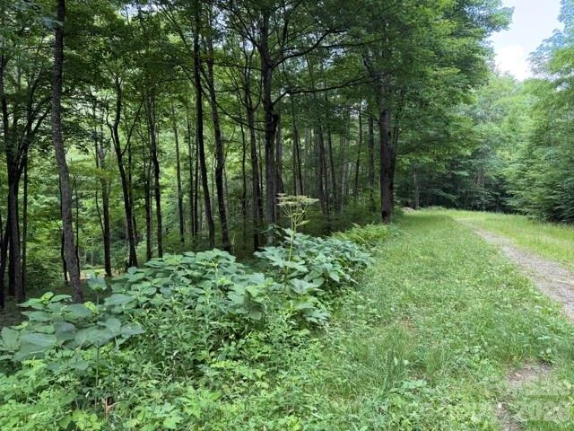 Lot 59 Odalu Trail #59 - Photo 3