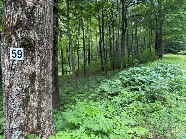 Lot 59 Odalu Trail #59 - Photo 4