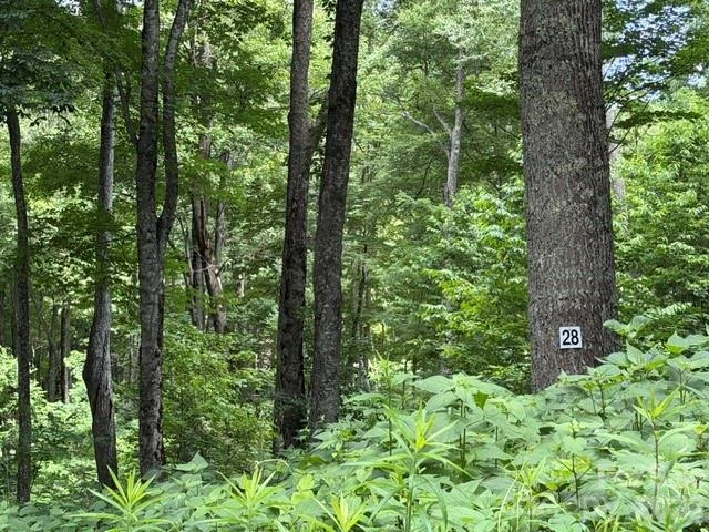 15 Lots Odalu Trail - Photo 12
