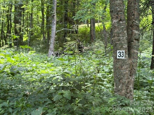 15 Lots Odalu Trail - Photo 13