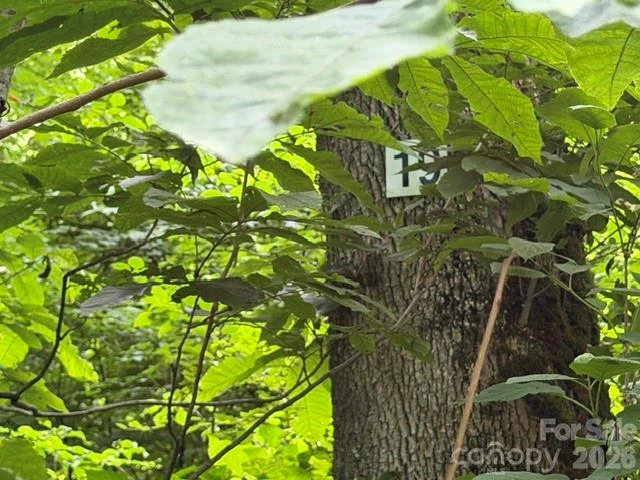 15 Lots Odalu Trail - Photo 16