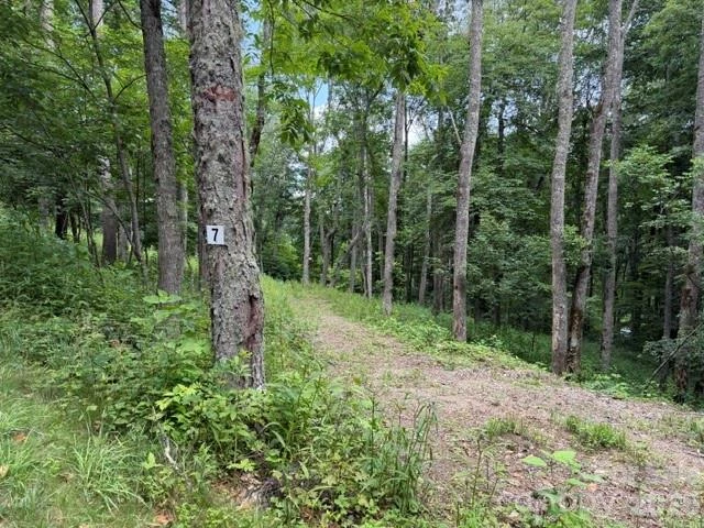 15 Lots Odalu Trail - Photo 17