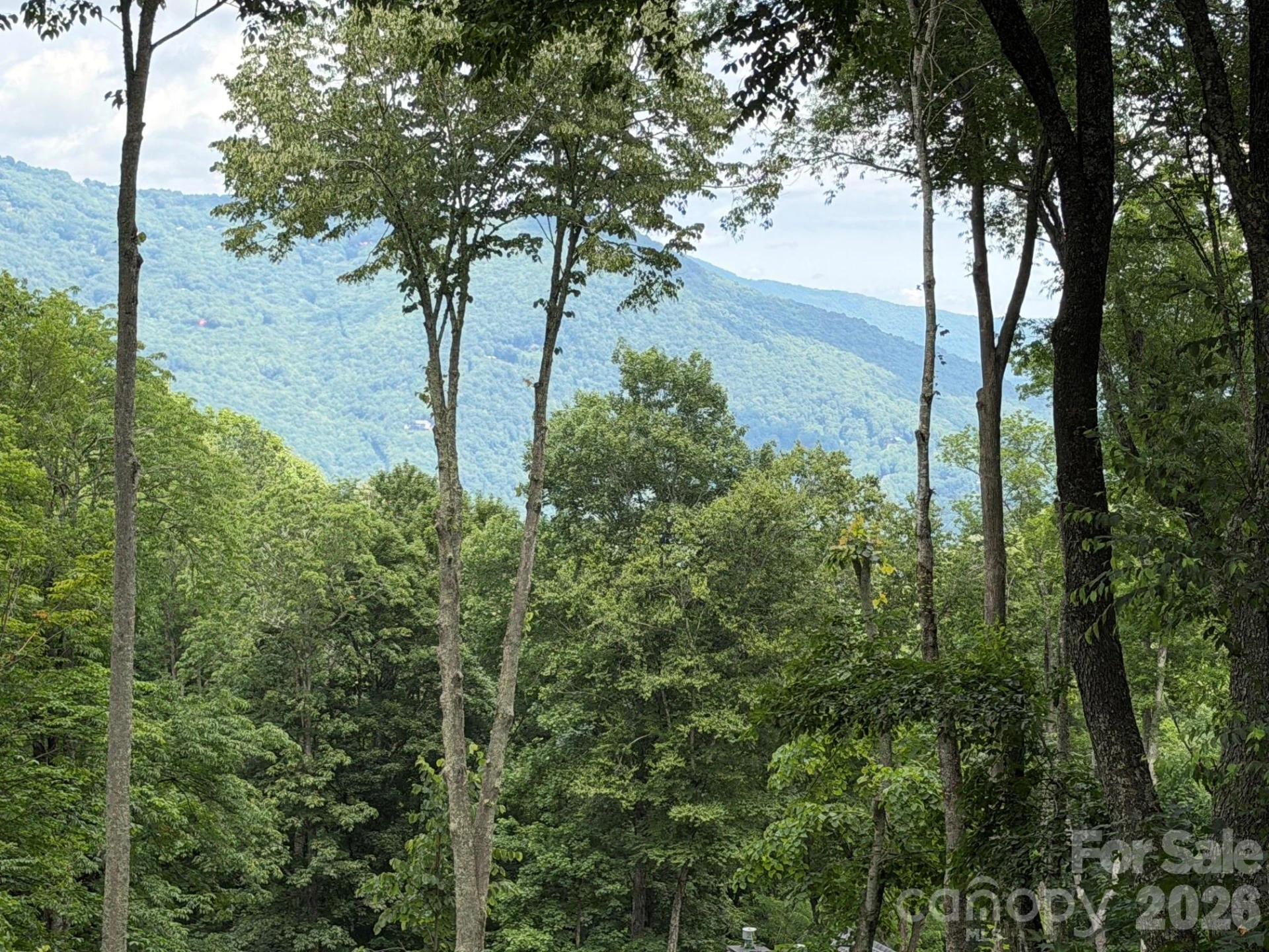 15 Lots Odalu Trail - Photo 19