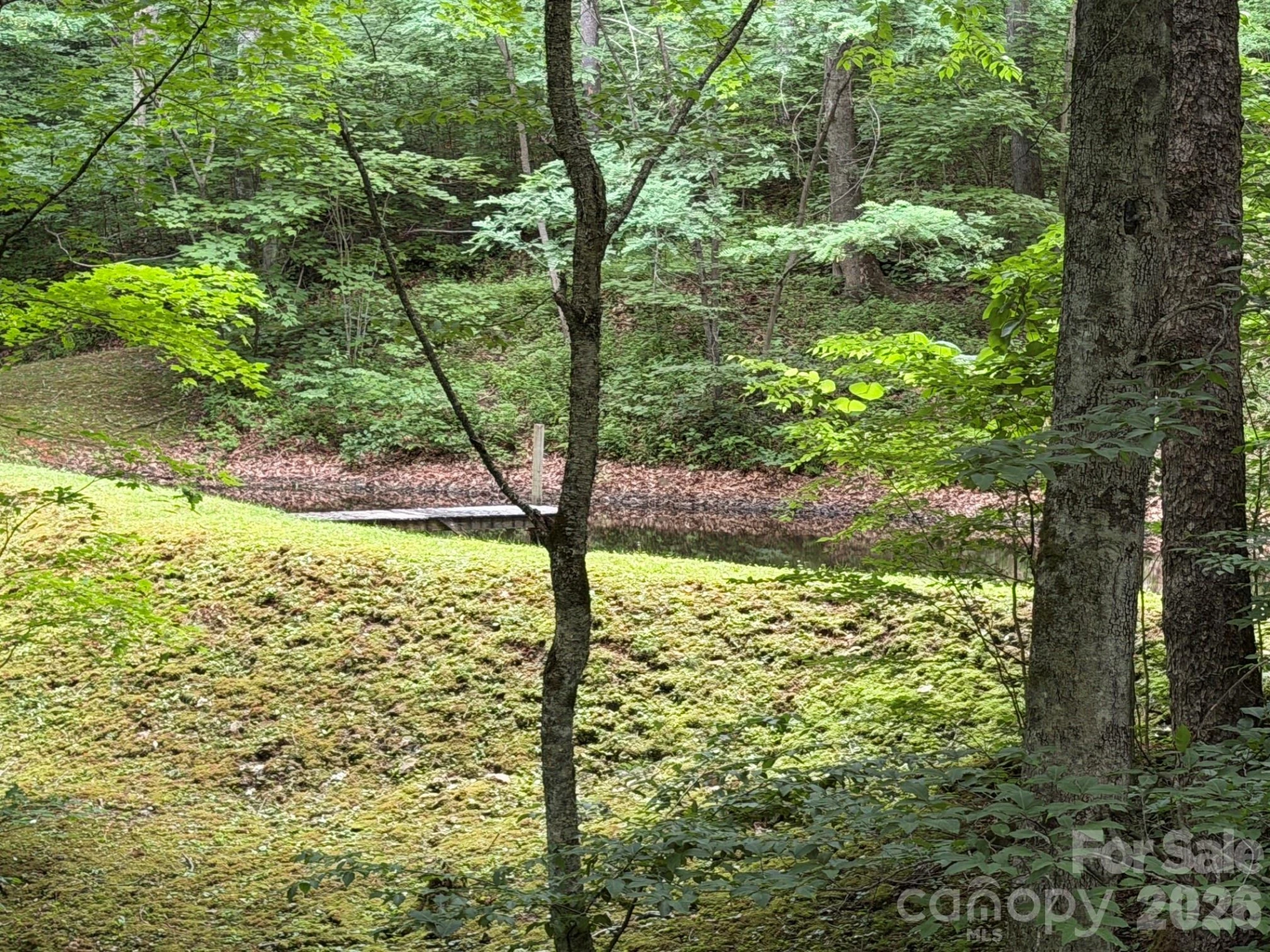 15 Lots Odalu Trail - Photo 20