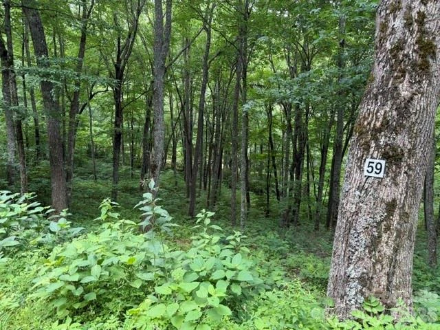 15 Lots Odalu Trail - Photo 5
