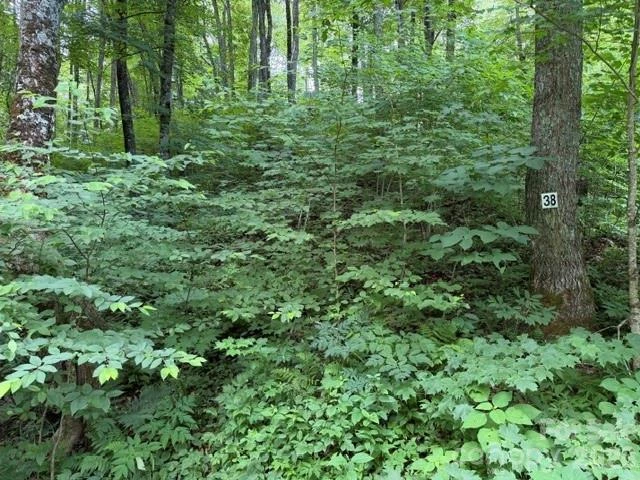 15 Lots Odalu Trail - Photo 6