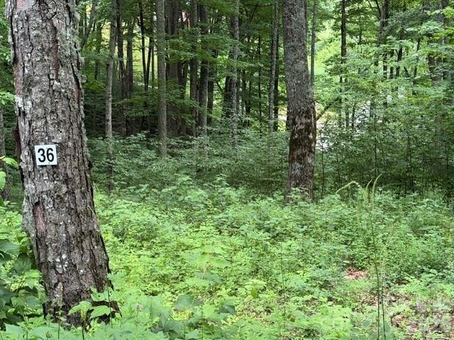 15 Lots Odalu Trail - Photo 8