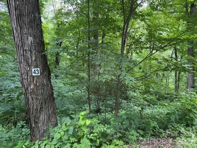 15 Lots Odalu Trail - Photo 9