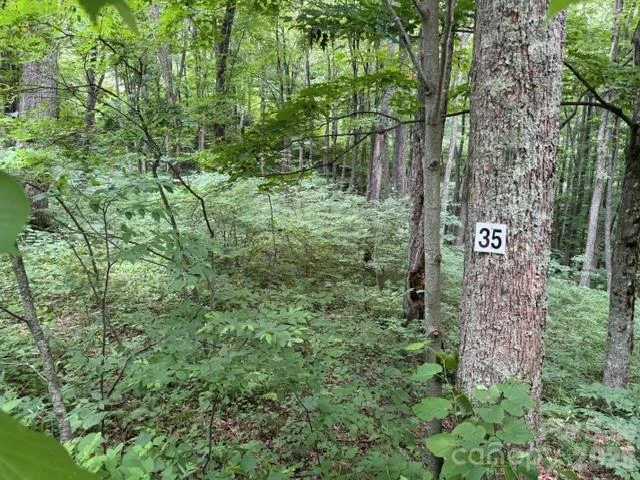 15 Lots Odalu Trail - Photo 10