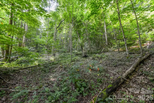 ### Board Tree Road, Marshall, NC, 28753