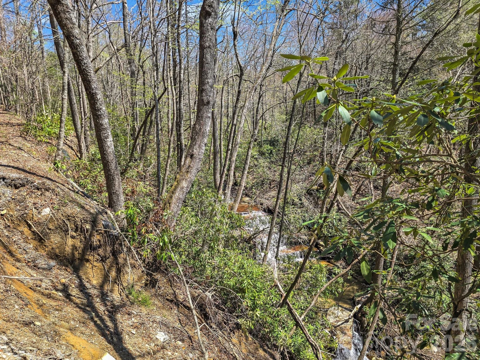 999 Bulling Creek Drive - Photo 14