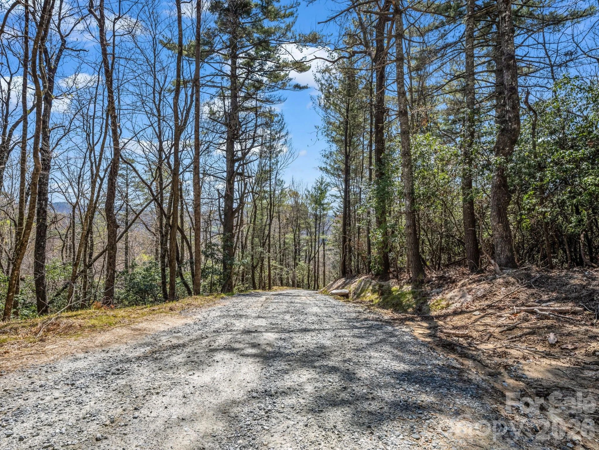 999 Bulling Creek Drive - Photo 4