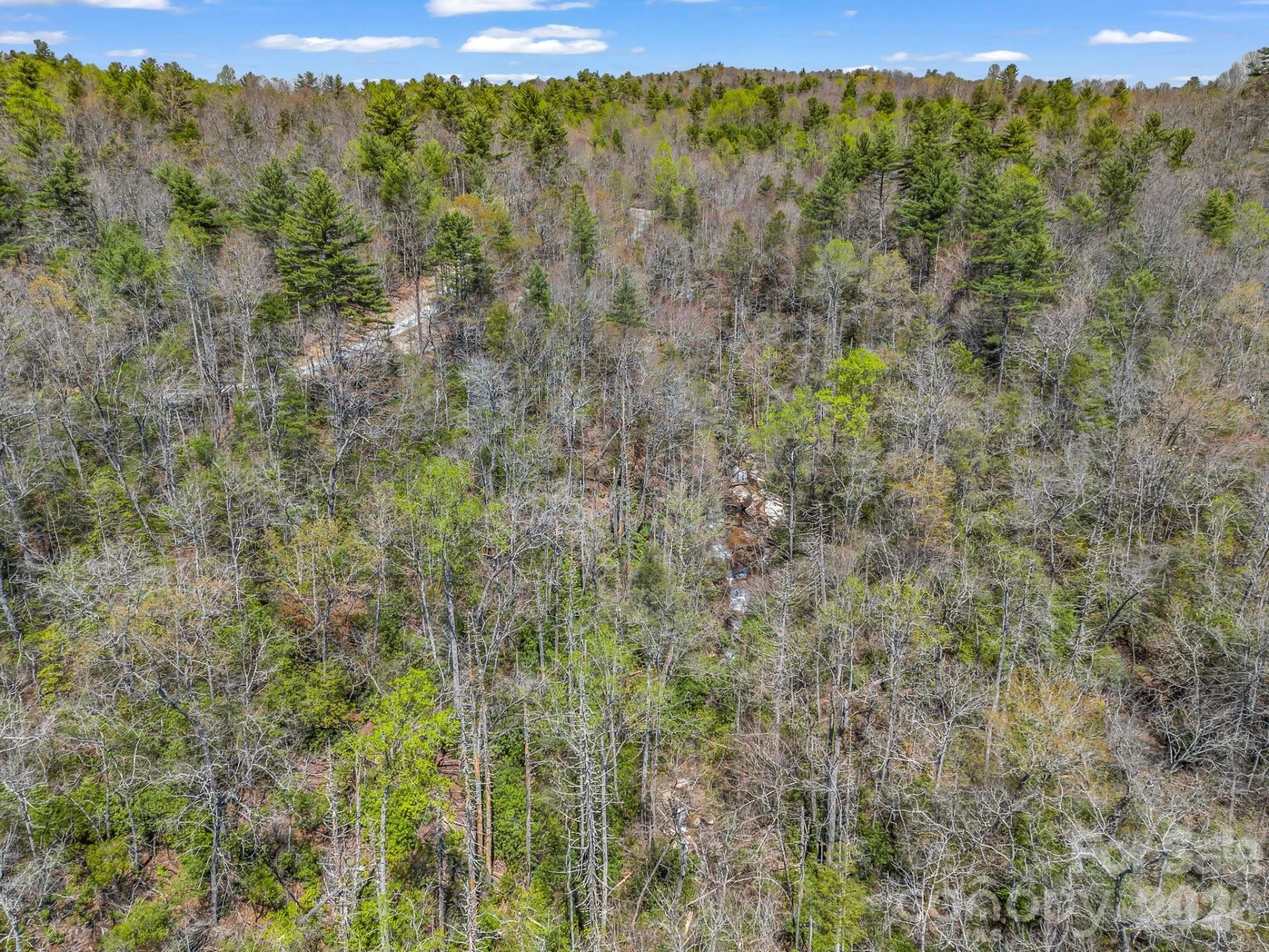 999 Bulling Creek Drive - Photo 36