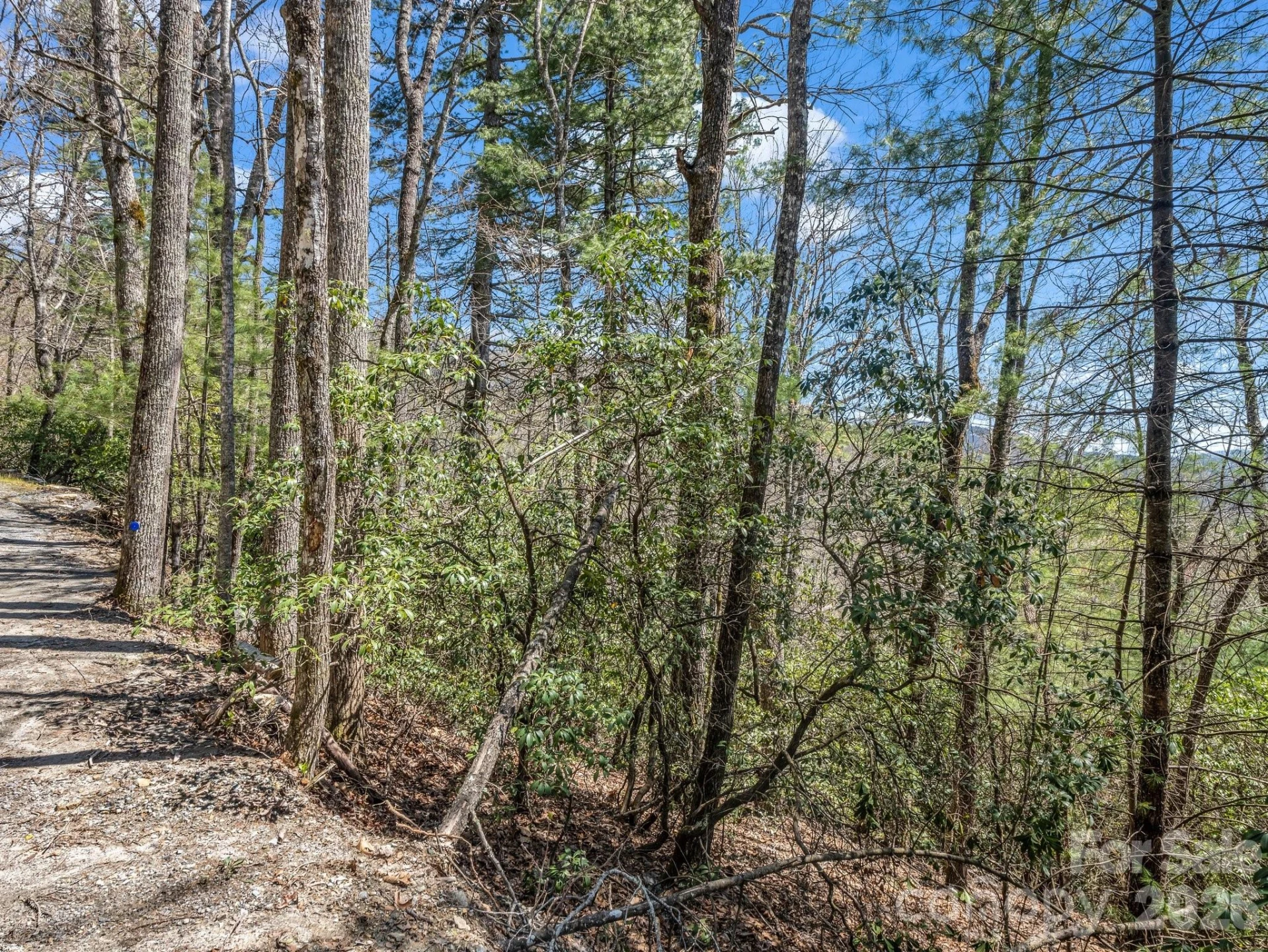 999 Bulling Creek Drive - Photo 5