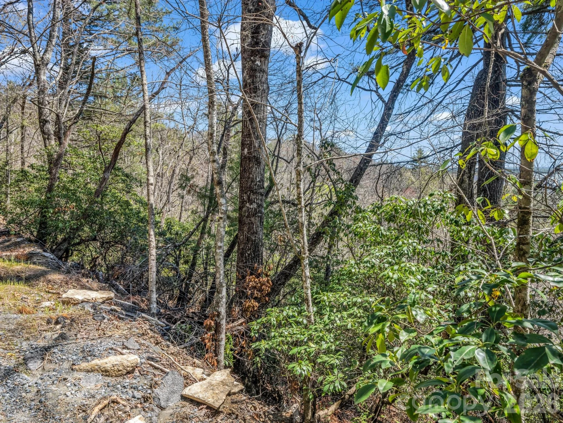 999 Bulling Creek Drive - Photo 6