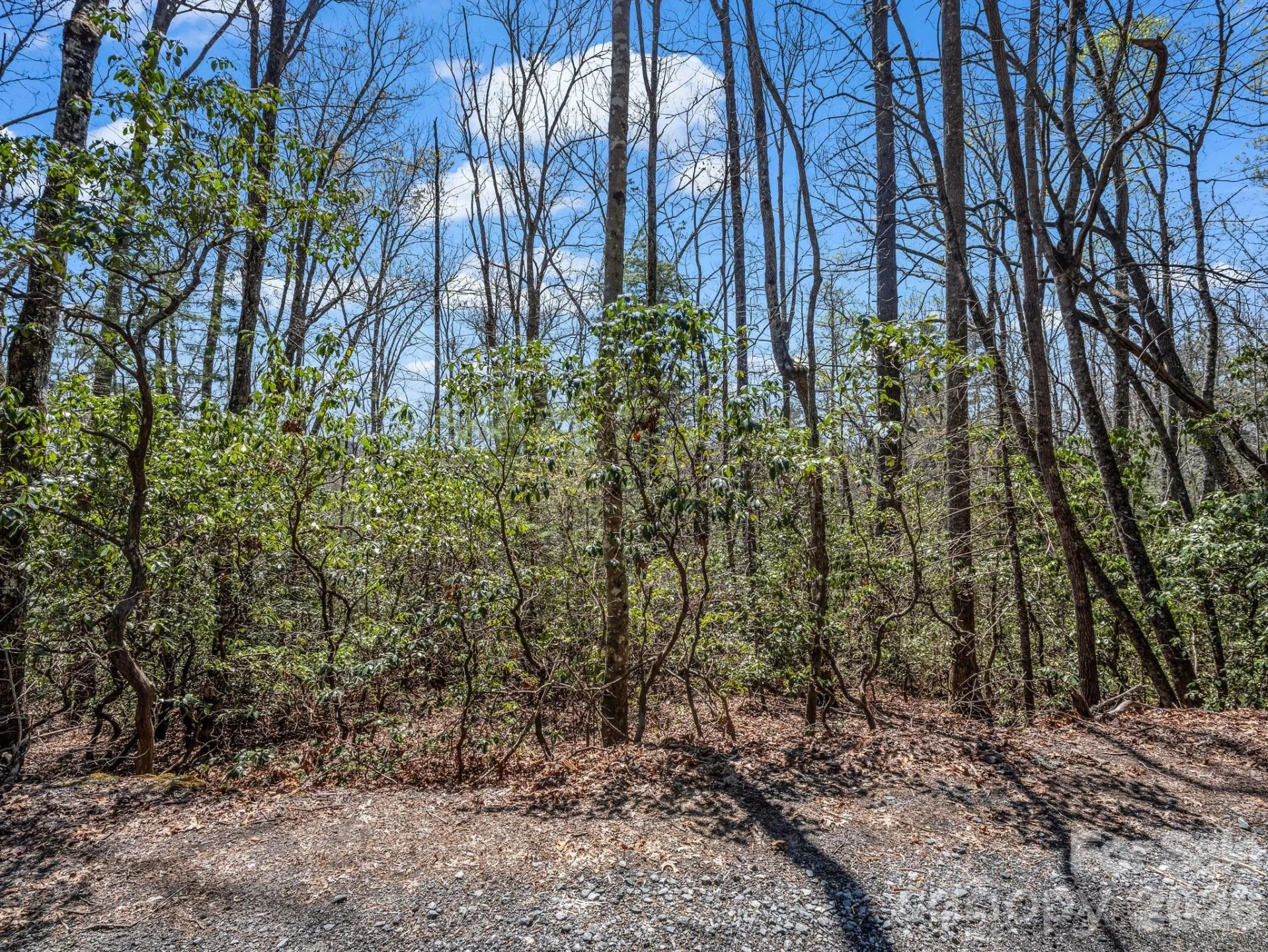 999 Bulling Creek Drive - Photo 9