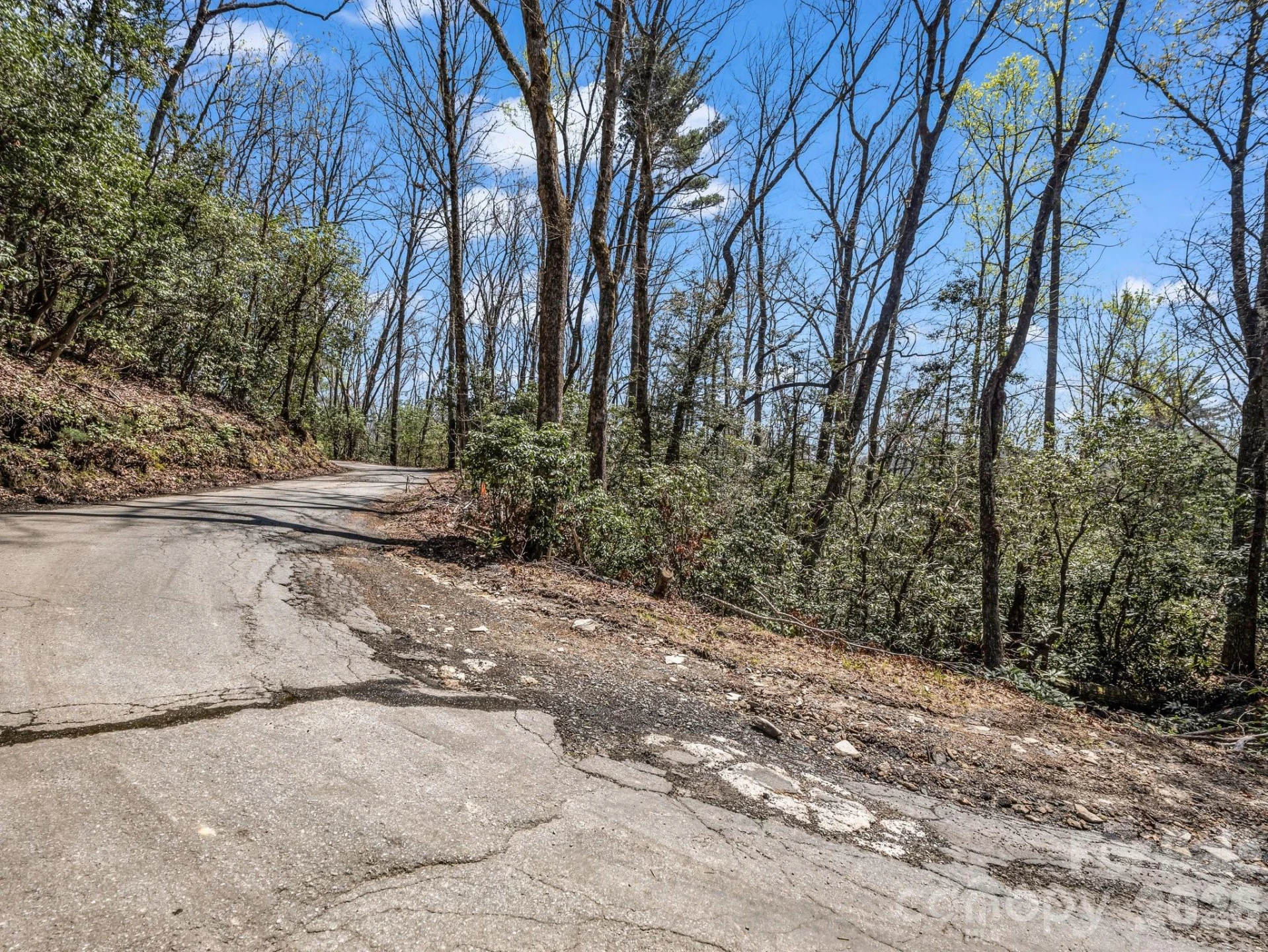 999 Bulling Creek Drive - Photo 10