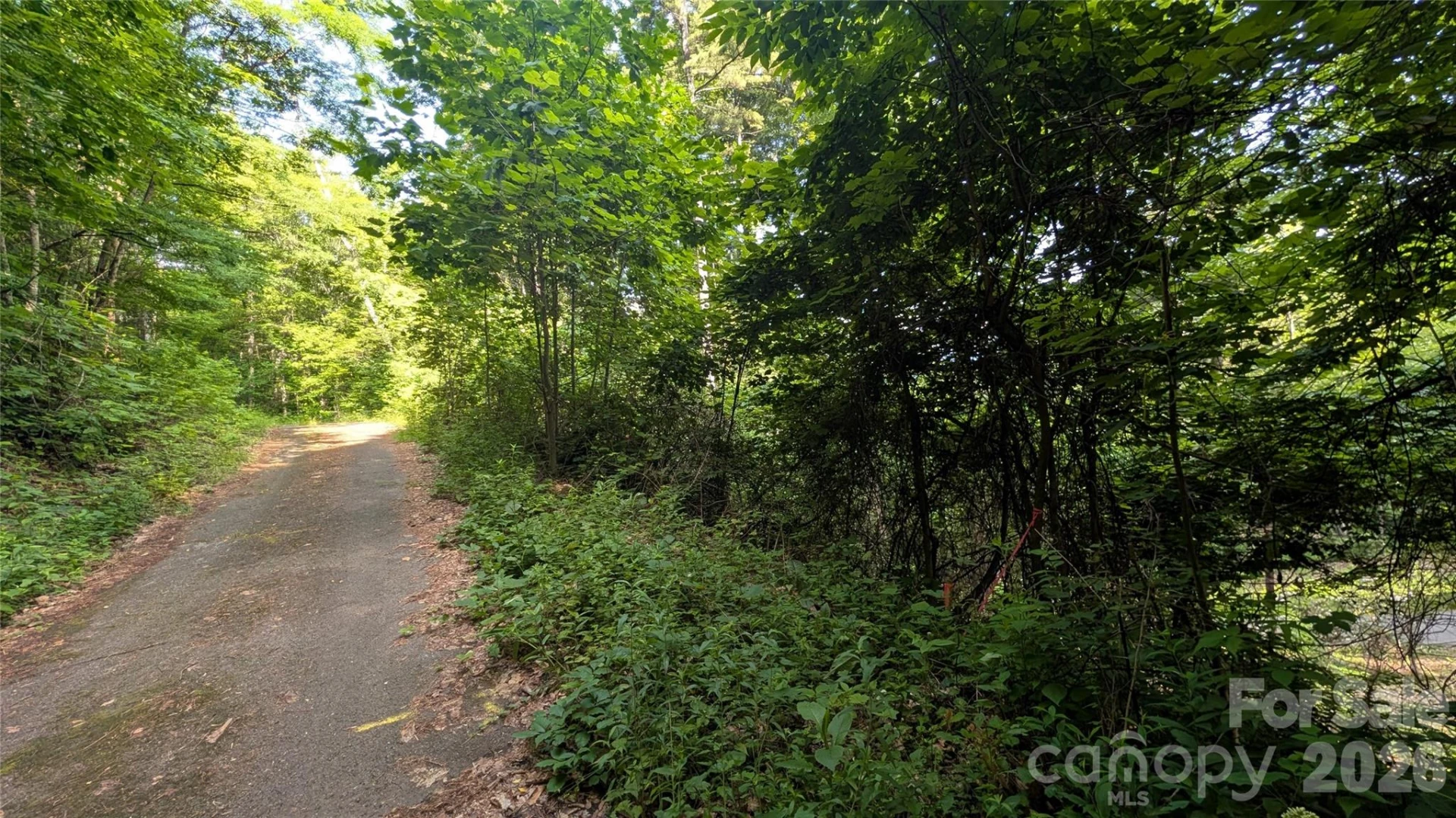 00 Chestnut Walk #3,4,5 - Photo 14